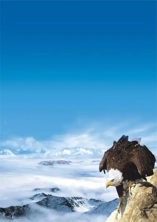 尼龙方块地毯说明